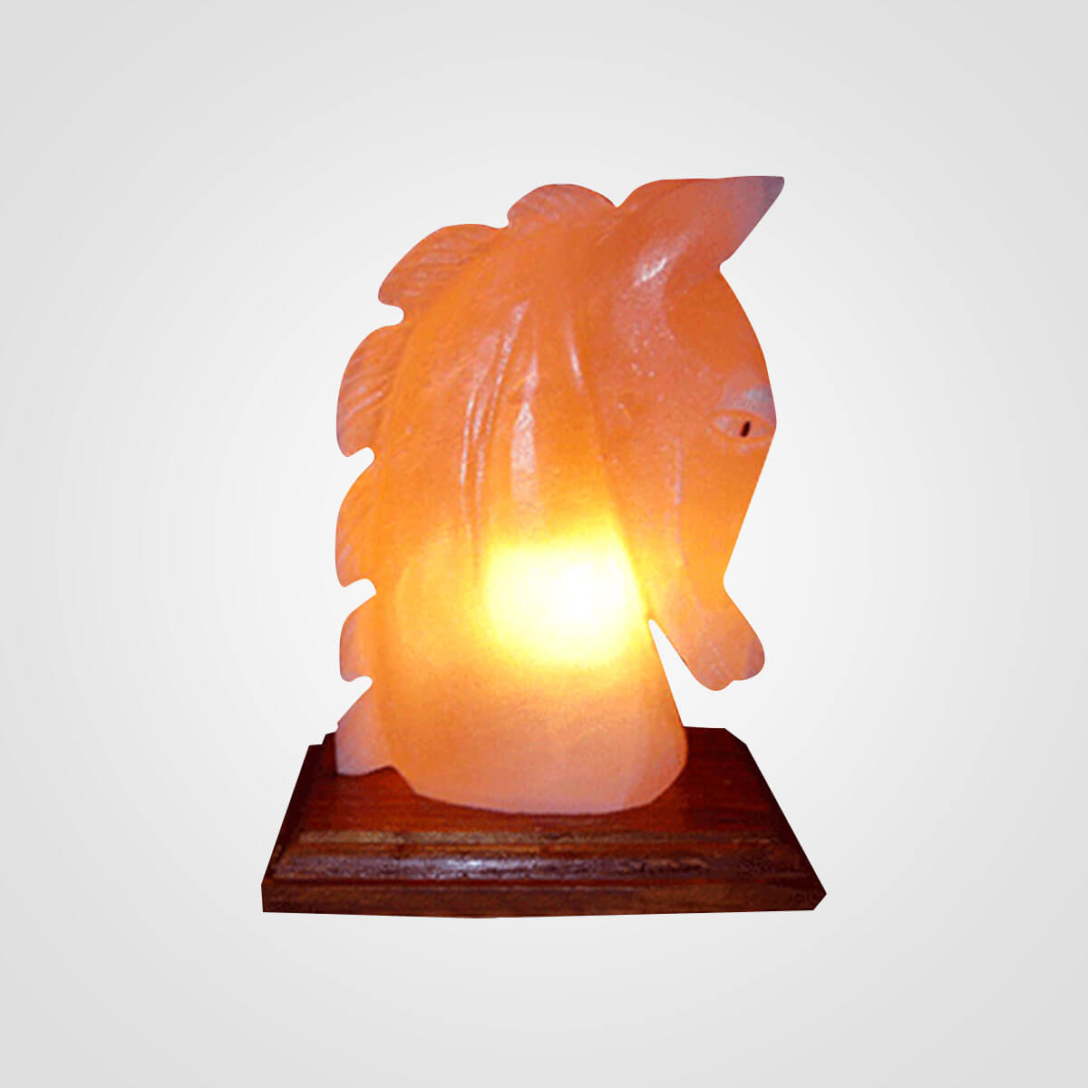 Himalayan Horse Shape Salt Lamp