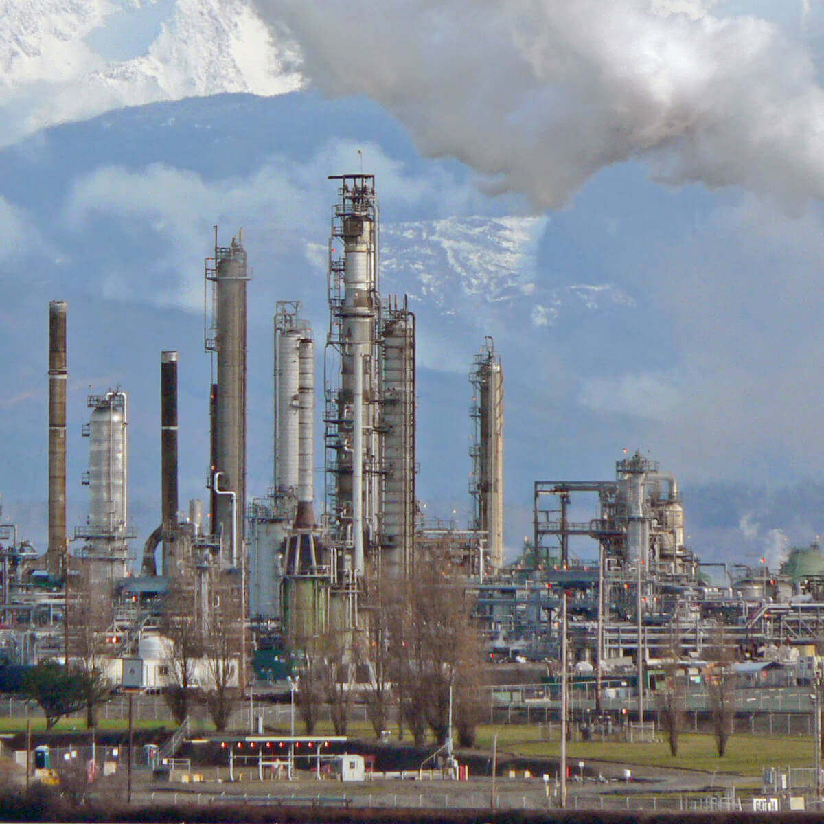 Himalayan Oil Refinery Grade Salt