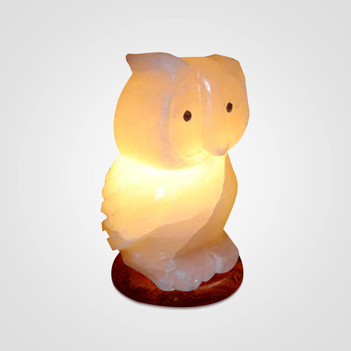 Himalayan Owl Shape Salt Lamp