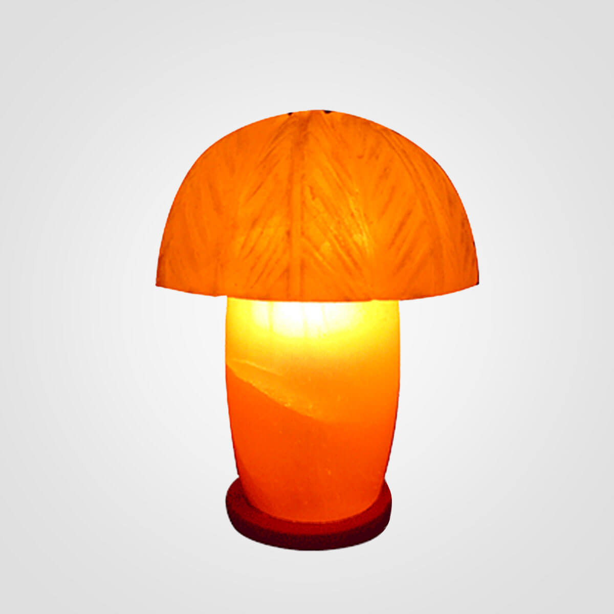 Himalayan Palm Shape Salt Lamp