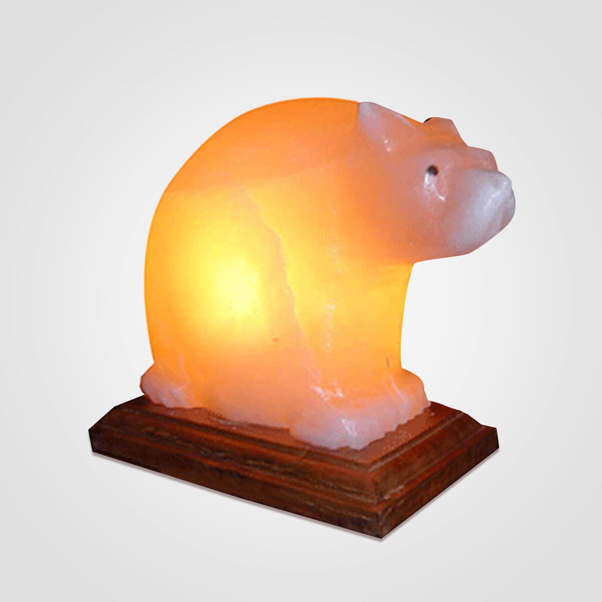 Himalayan Pink Salt Bear Lamp