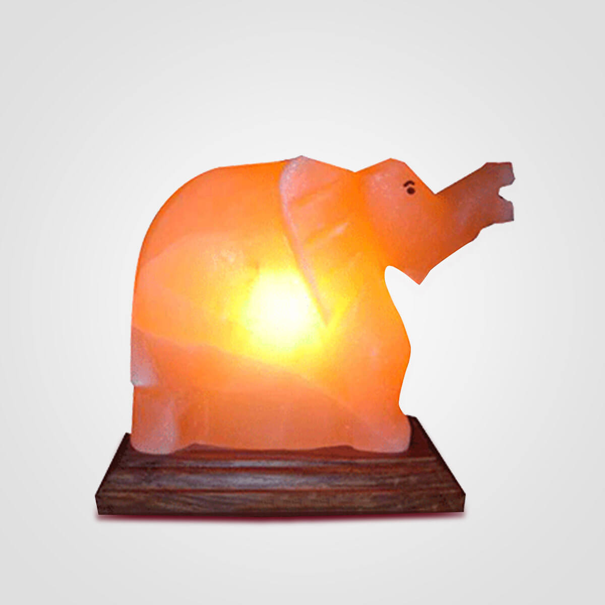 Himalayan Pink Salt Elephant Lamp