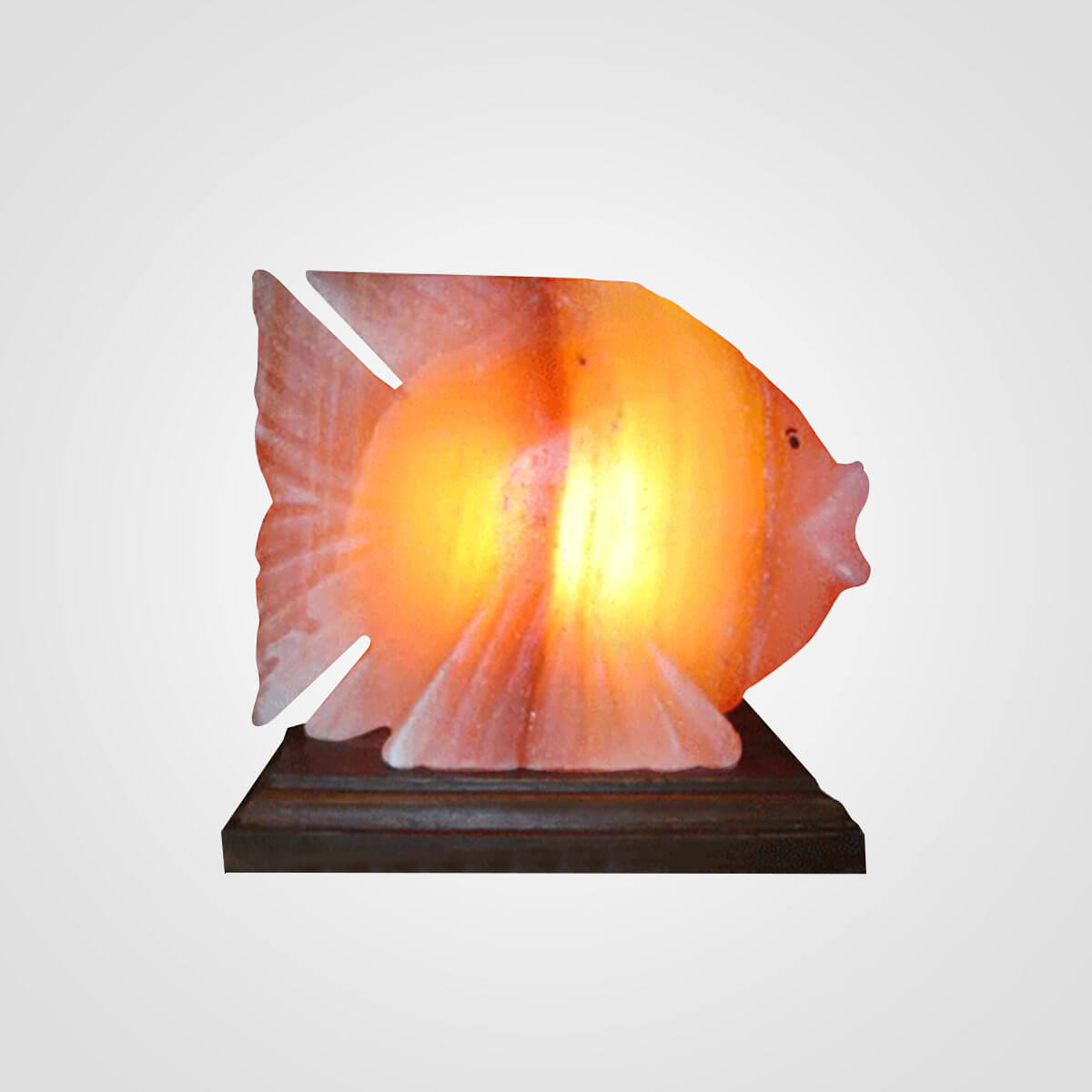 Himalayan Pink Salt Fish Lamp