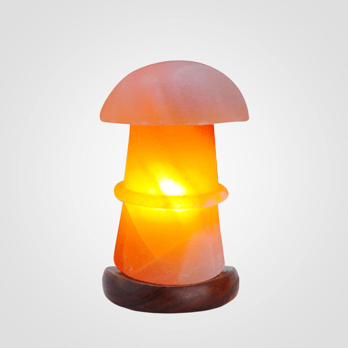 Himalayan Pink Salt Mushroom Lamp