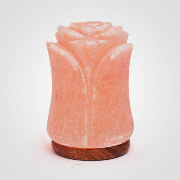 Himalayan Pink Salt Rose Lamp