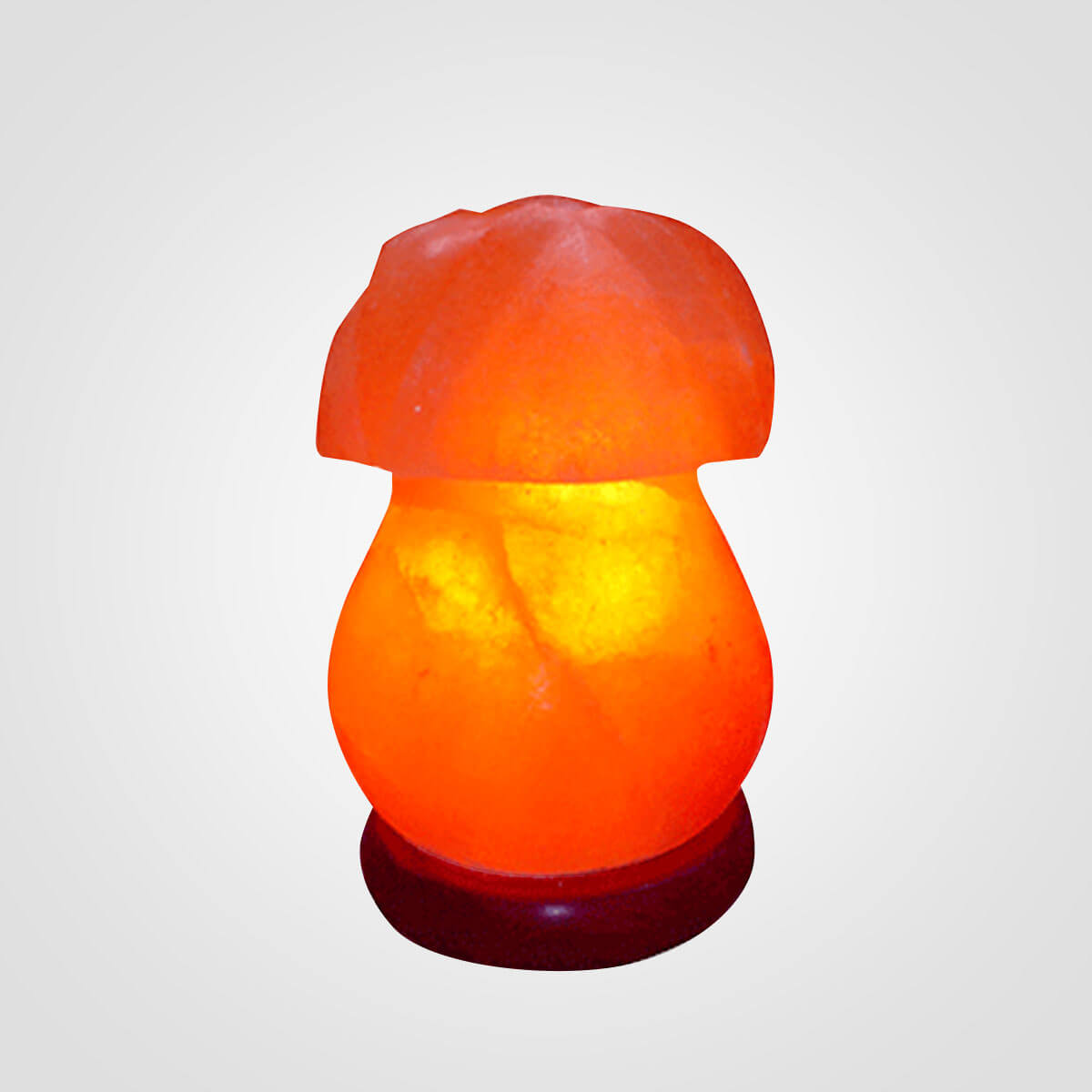 Himalayan Sunflower Shape Salt Lamp