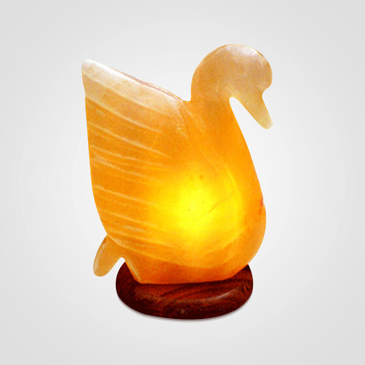 Himalayan Swan Shape Salt Lamp