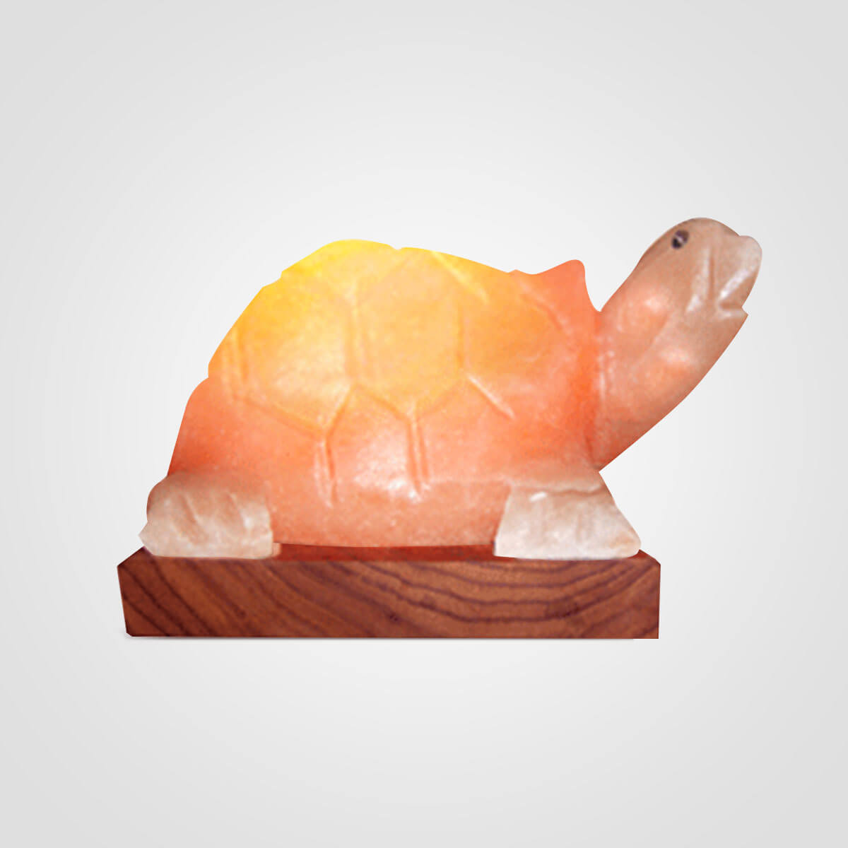 Himalayan Turtle Shape Salt Lamp